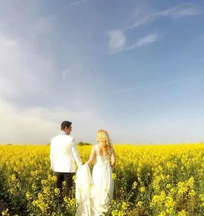 Canola Fields by Karmen Aksu